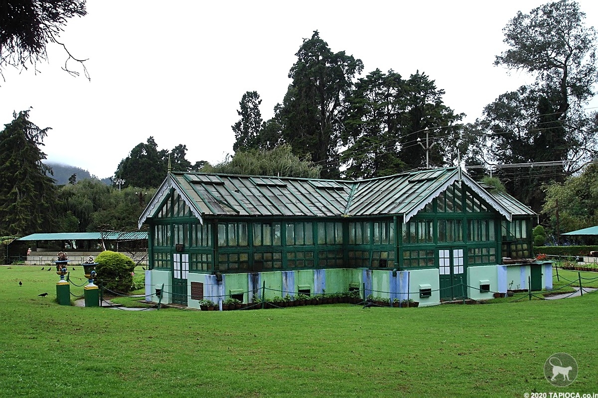 Glasshouse in Ooty