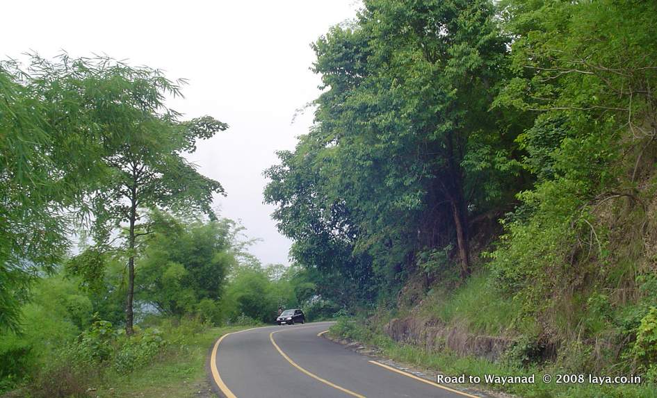 Road to Wayanad