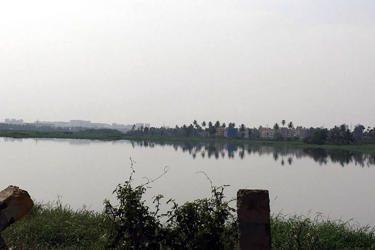 Pristine it looks, but Varthur Lake is a lot polluted waterbody