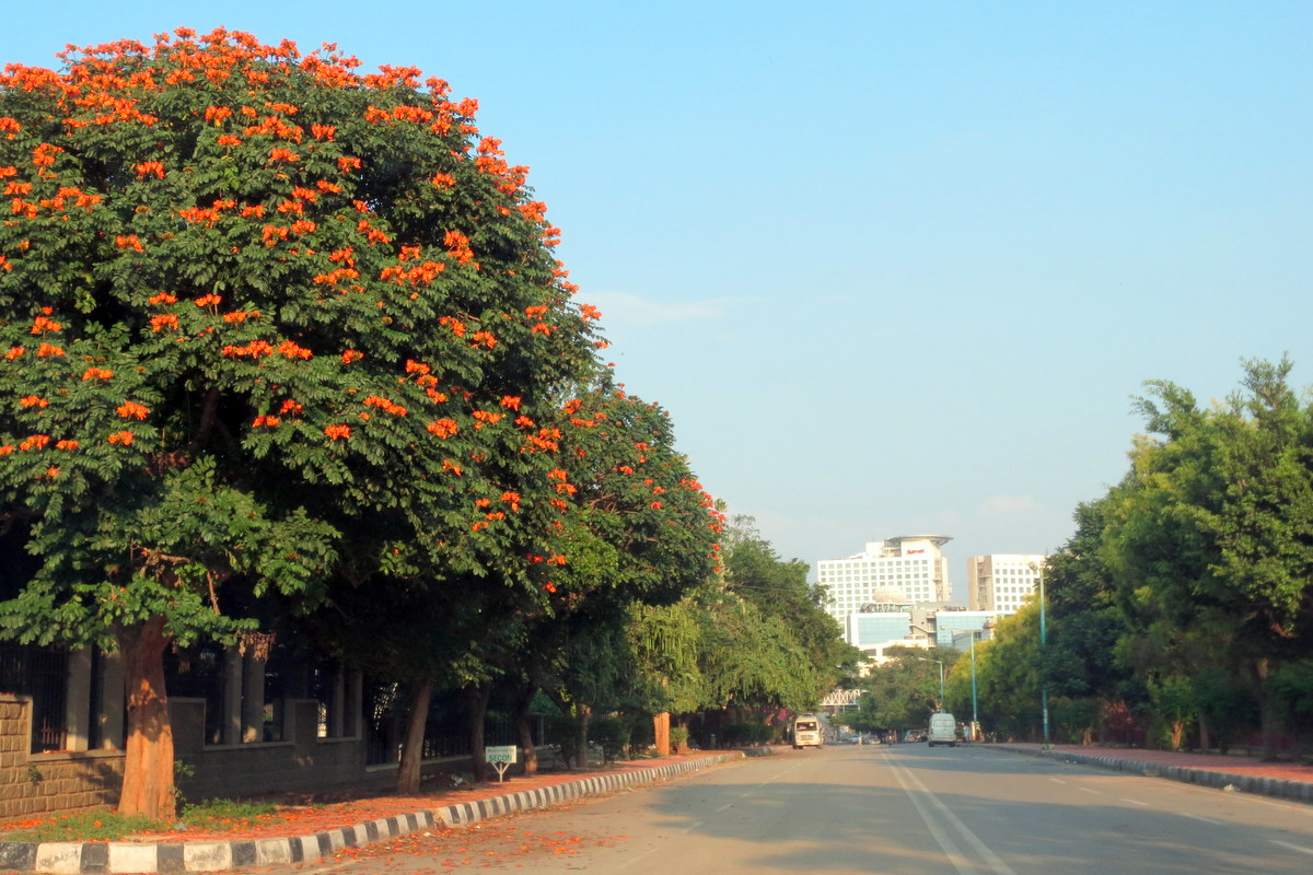 The locale in Bangalore's Whitefield where a large number of IT Parks in Bangalore are located. 