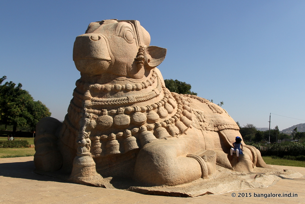 This monolithic Nandi @ Lepakshi is one of the largest in the country