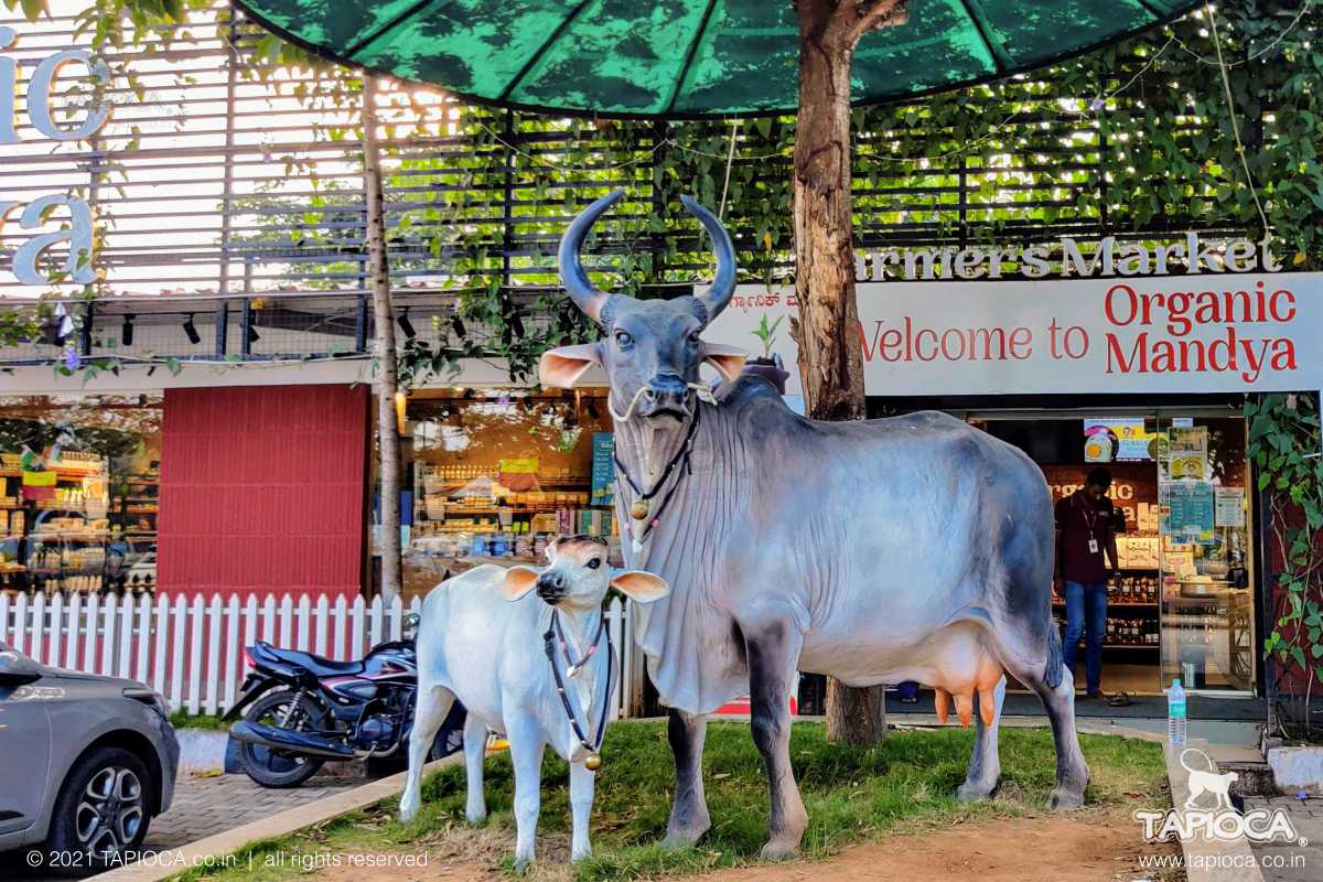 Organic Mandya Farmer's Market at Bangalore-Mysore Highway