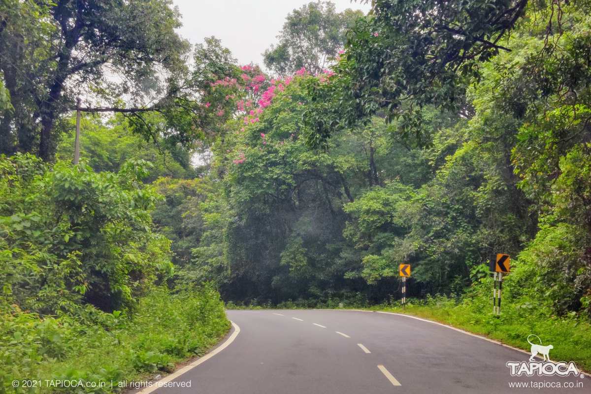 Gundya to Subramanya Road