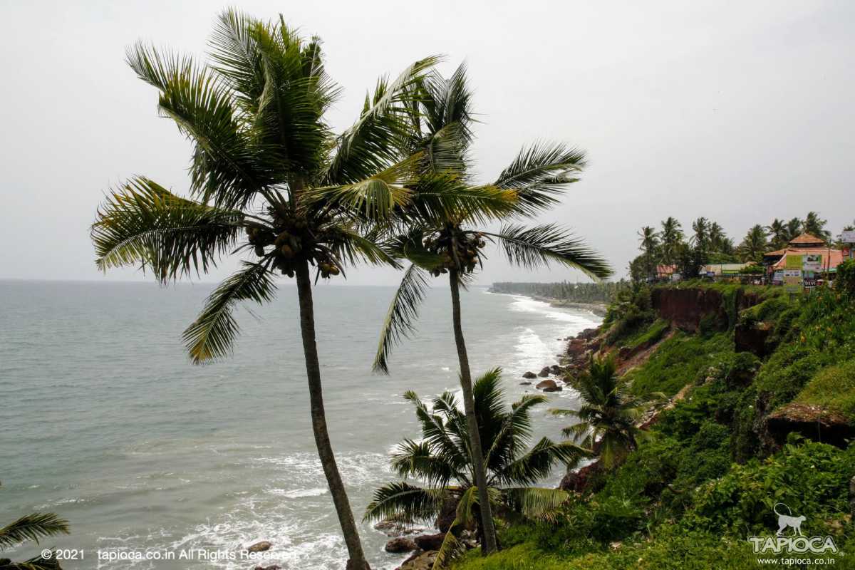 Most of the resorts and budget accommodation is located on the Cliff overlooking the Varkala beach 